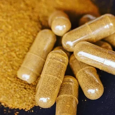 CATR_JulAugSep 2026_Ibogaine.png CATR_JulAugSep 2026_Ibogaine.png