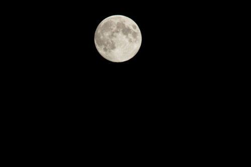 canstockphoto7618459.jpg
