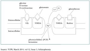Figure 1: Glutamate NMDA Receptor