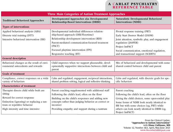 Table: Three Main Categories of Autism Treatment Approaches