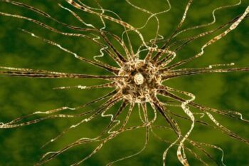 Canstockphoto42036066 neurons thumb